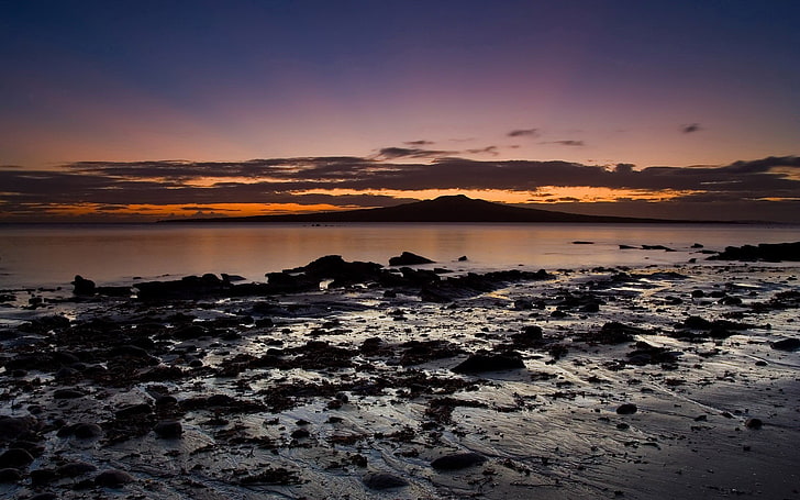 silhouette photo of sea, landscape, Auckland, beach, rock, New Zealand