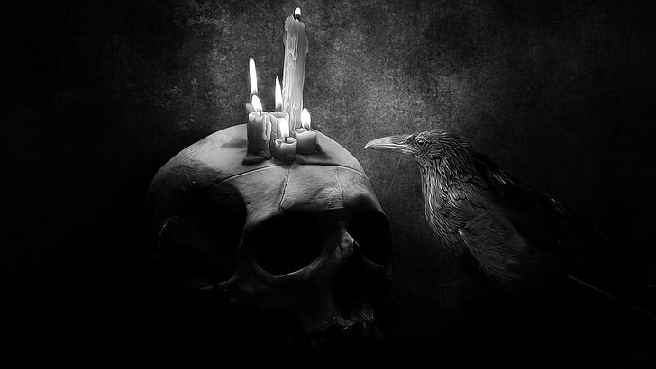 bird standing near skull with candle lighted, digital art, drawing