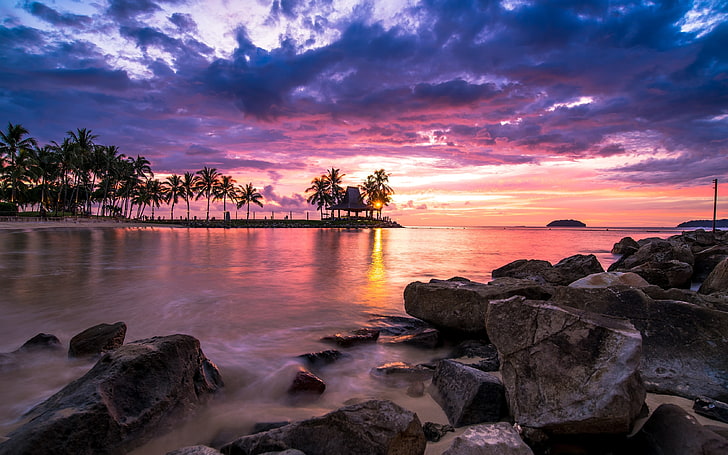 coconut trees, nature, landscape, sunset, tropical, beach, clouds