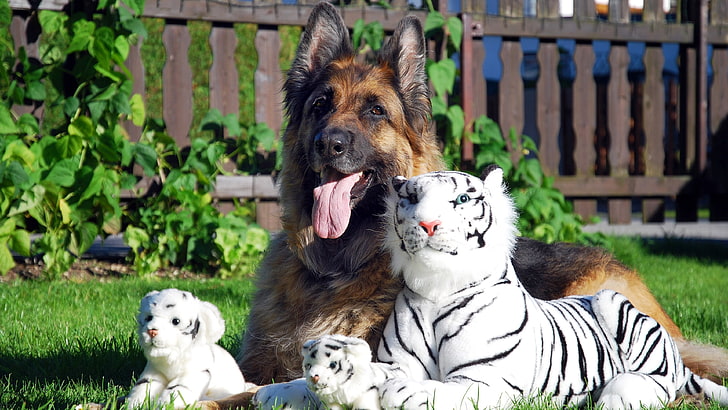 black and tan German shepherd and white tiger and two cub plush toys