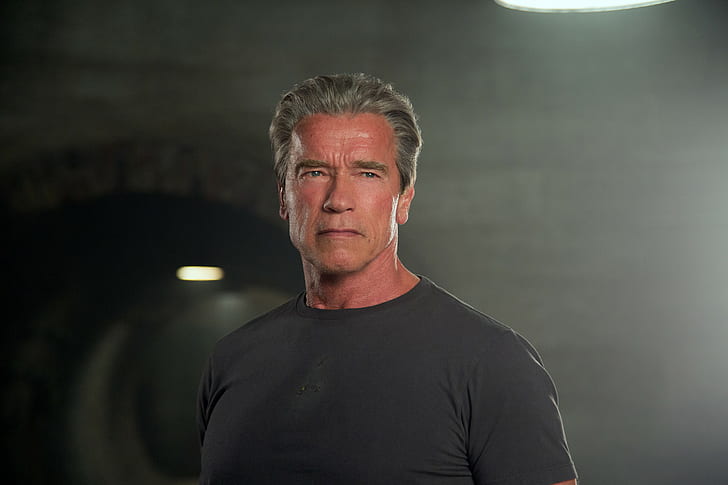 Arnold Schwarzenegger, movies, Terminator Genisys