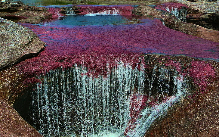 cano cristales, water, high angle view, no people, day, nature, HD wallpaper