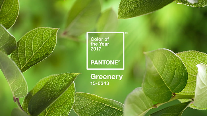 color of the year pantone greenery wallpaper, color codes, landscape, HD wallpaper