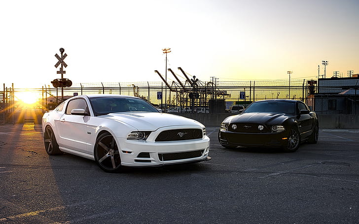 Ford Mustang black and white cars, HD wallpaper