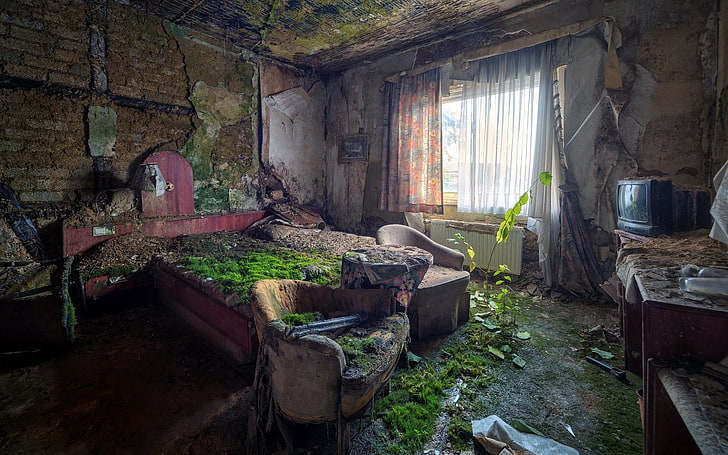 black CRT TV, ruin, indoors, overgrown, house, bed, abandoned, HD wallpaper