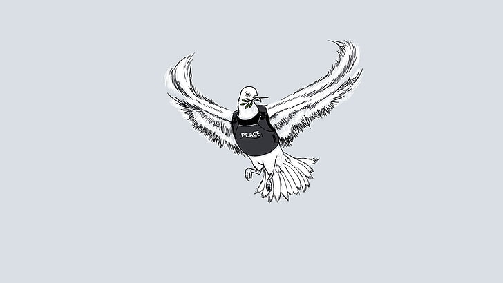 HD wallpaper: white and black bird illustration, minimalism, peace, war,  copy space | Wallpaper Flare