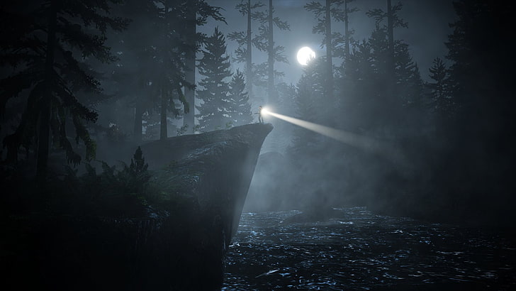 Video Game, Alan Wake, fog, tree, nature, plant, forest, land