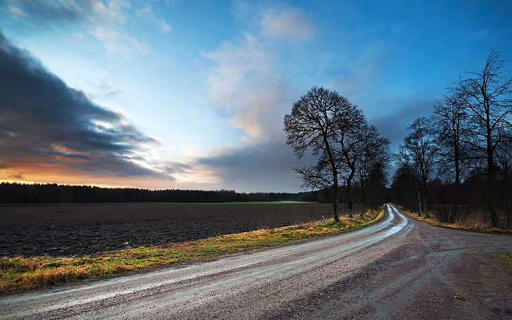 nature, road, trees, sky, cloud - sky, direction, beauty in nature, HD wallpaper