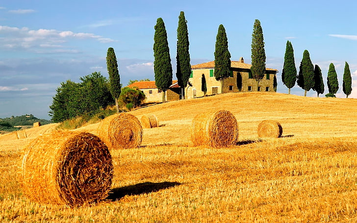 brown haystack, bales, agriculture, field, trees, houses, rural Scene, HD wallpaper