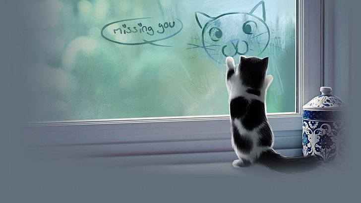 I Really Miss You Cute Kitten Quickmeme