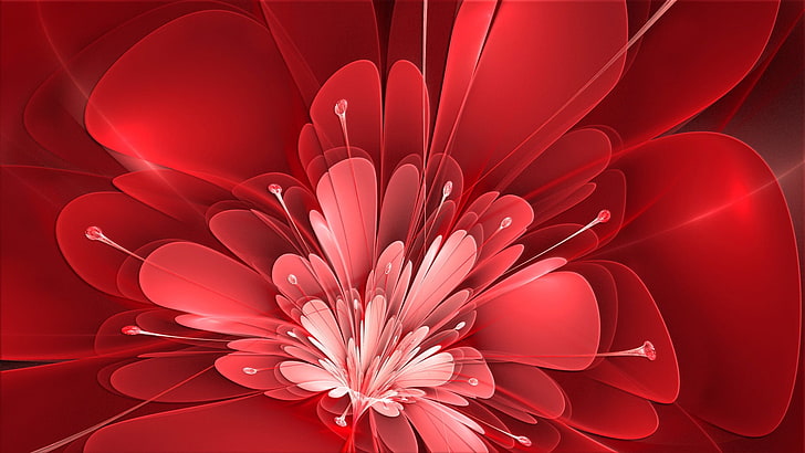 close up photo of red petaled flower, flowers, flowering plant