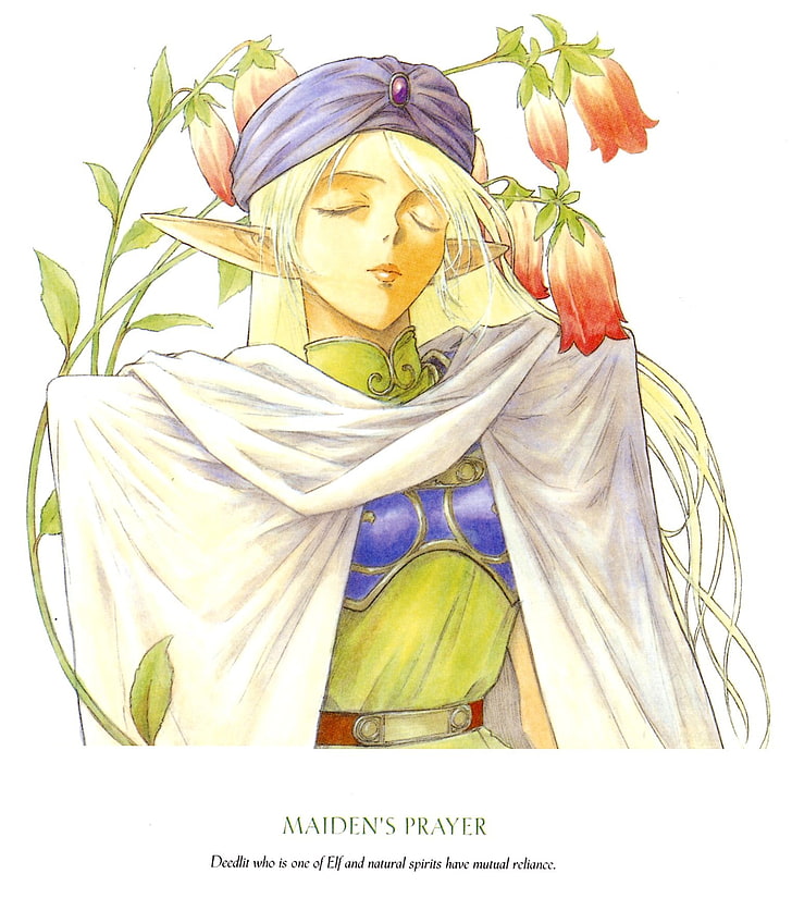 anime, Record of Lodoss War, flower, flowering plant, belief, HD wallpaper