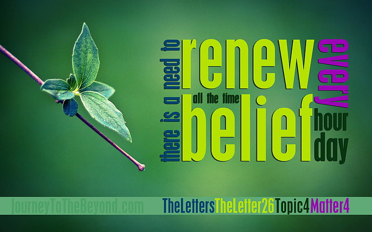 green leafed plant, Islam, belief, religion, typography, text, HD wallpaper