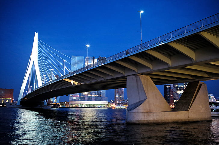suspension bridge on body of water during nighttime, Erasmusbrug