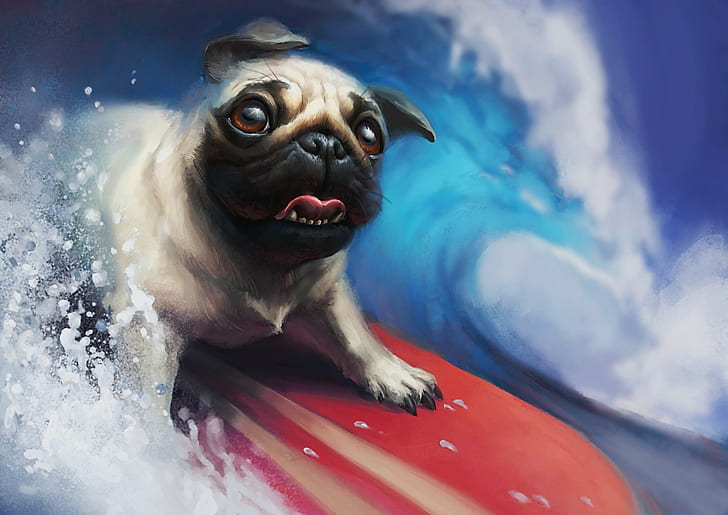 A Master Violinist [x Post:] : Pugs, Awesome Anime Dog HD wallpaper | Pxfuel