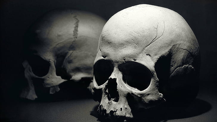 HD wallpaper: art, artwork, Dark, Evil, horror, skeleton, skull, skulls |  Wallpaper Flare