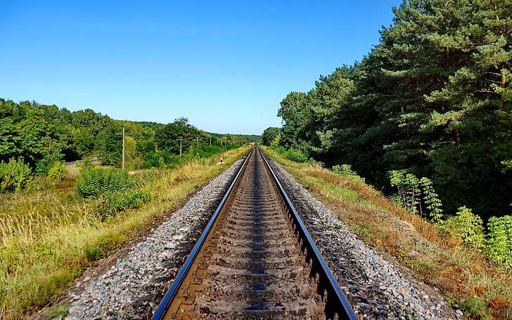black train rails, nature, plant, railroad track, tree, rail transportation