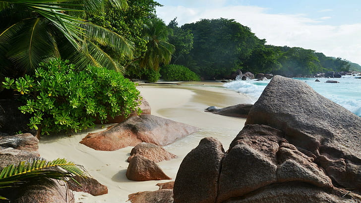 Tropics sea beach, gray rock, waves, rocks, palmist, Nature s, HD wallpaper