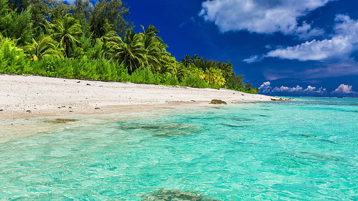 lagoon, palms, summertime, maldives, tropical beach, sky, water, HD wallpaper