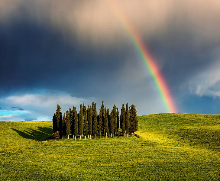 Italy, Tuscany, Cypress Hill, grove, Nature, field, trees, sky, HD wallpaper