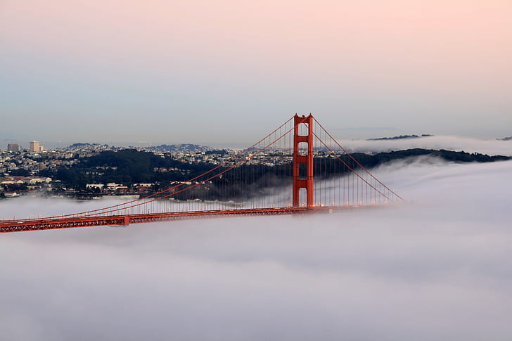 cityscape, bridge, Golden Gate Bridge, mist, San Francisco, HD wallpaper