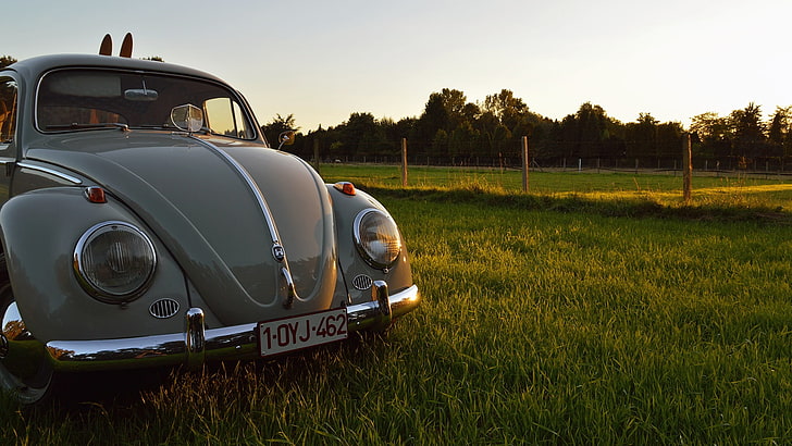 green Volkswagen Beetle parked on grass field, car, Oldtimer