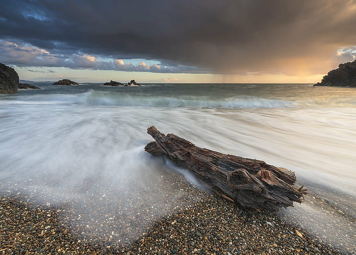 driftwood on sea photography, Beached, Llanddwyn Island, Anglesey, HD wallpaper