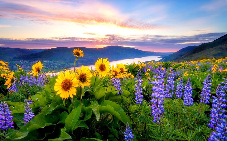 HD wallpaper: Spring Flowers Mountain Lake Hills Red Cloud Sunset Hd  Desktop Backgrounds Free Download 3840×2400 | Wallpaper Flare