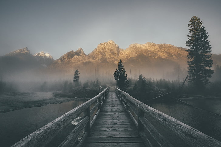 brown wooden footboard, landscape, mist, mountains, bridge, forest