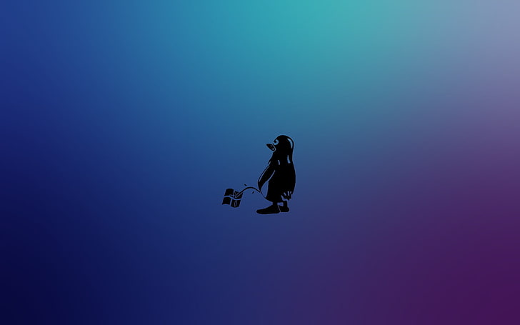 black penguin logo, Linux, Tux, Microsoft, Windows 8, blue, nature