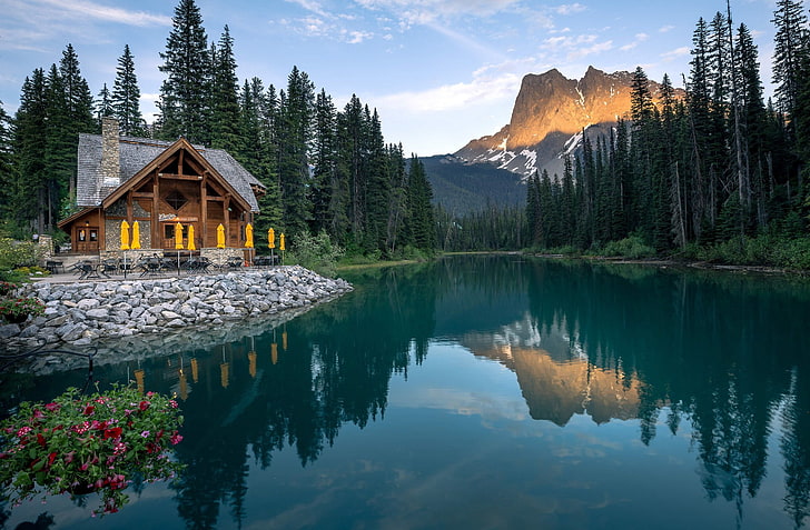 landscape, lagoon, forest, mountains, trees, house, plants, HD wallpaper