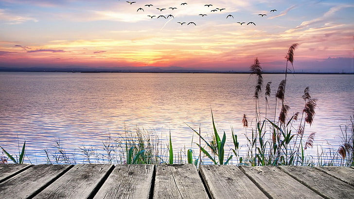 sky, horizon, water, lake, shore, calm, sunset, pier, wooden, HD wallpaper