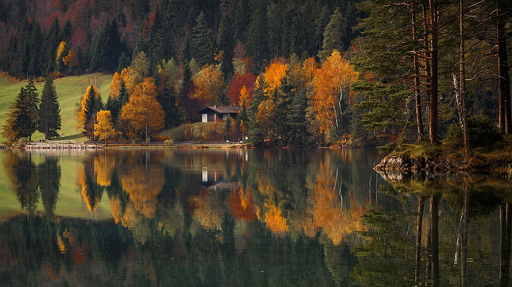 brown wooden cabin in near lake in reflective shot, landscape