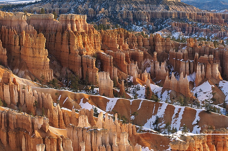 brown ancient ruins, canyons, snow, trees, winter, yellow, white