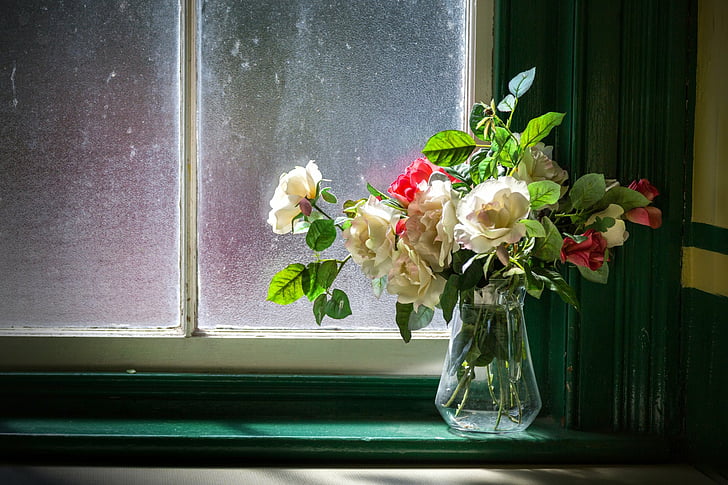 Photography, Still Life, Flower, Vase, White Flower, Window