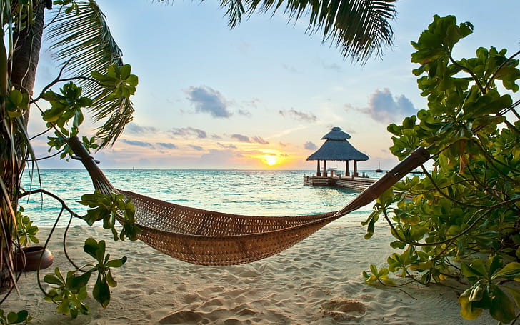 Summertime Paradise, tropical, beach, palms, Sea, Ocean, sunshine, HD wallpaper