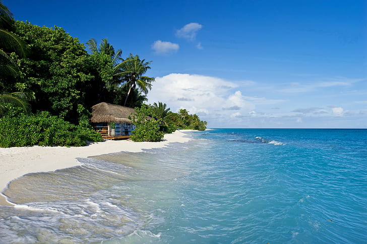 landscape, tropical, island, sea, sand, cottage, palm trees, HD wallpaper