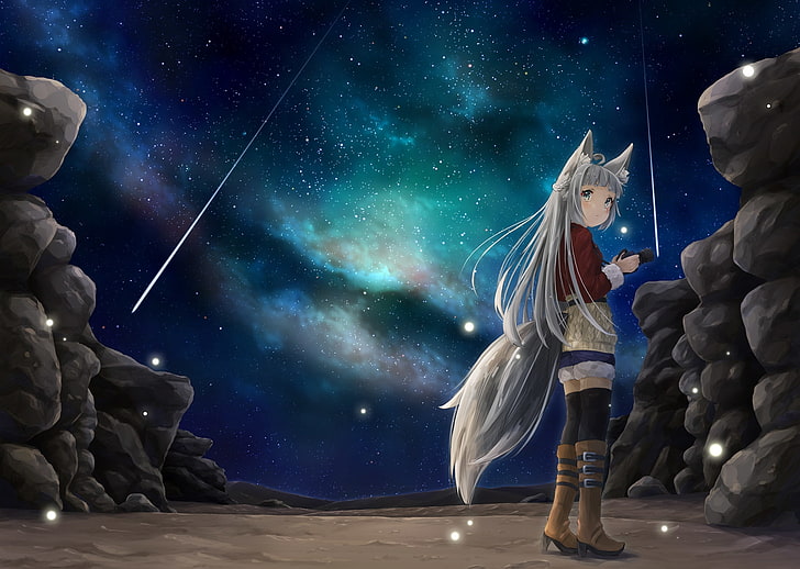 anime girl, animal ears, falling stars, sky, night, tail, star - space, HD wallpaper