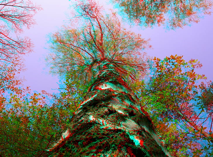 Wallpaper Tree Sky 3d Hd Image Num 6