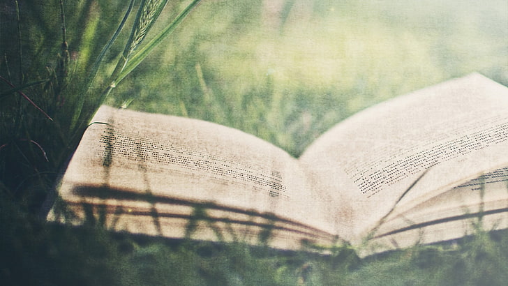 beige book page, books, grass, literature, plant, no people, selective focus, HD wallpaper