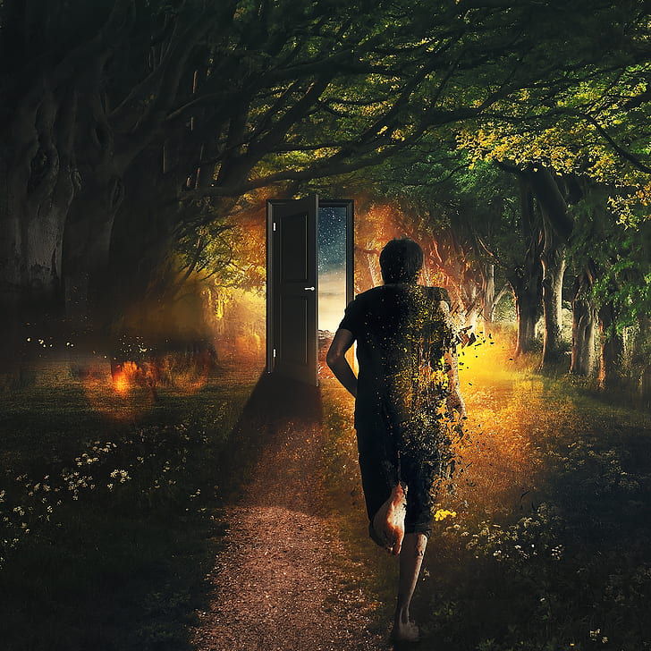 man running to gate, disappearing, particles, forest, Fantasy, HD wallpaper