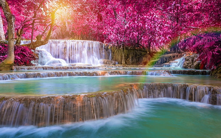 Waterfalls, Foliage, Nature, Rainbow, Tree