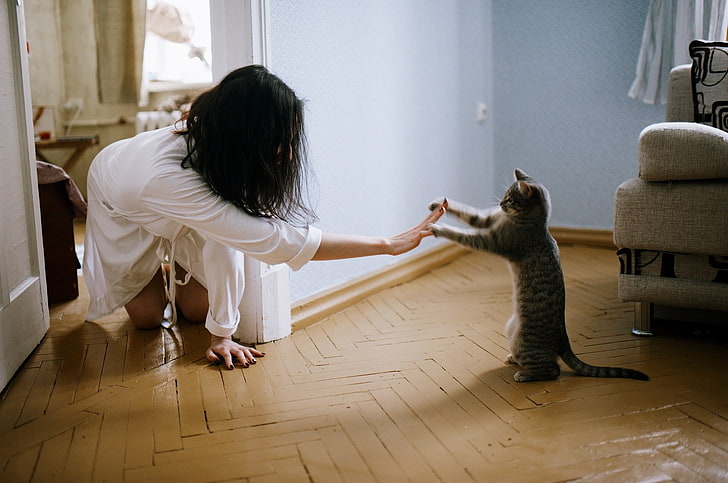 Marat Safin, on the floor, cat, animals, 500px, women, model, HD wallpaper