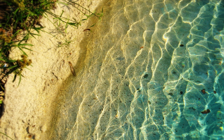 body of water beside sand, nature, plants, sea, underwater, transparent, HD wallpaper