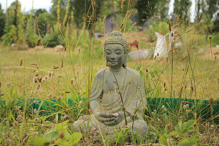 gray concrete Gautama Buddha sculpture, buddhism, meditation