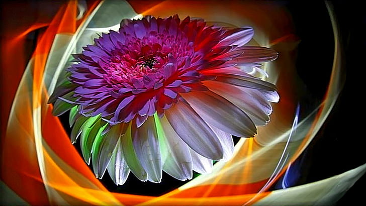 Friday Love, abstract, caring, romantic, colorful, loving, flower