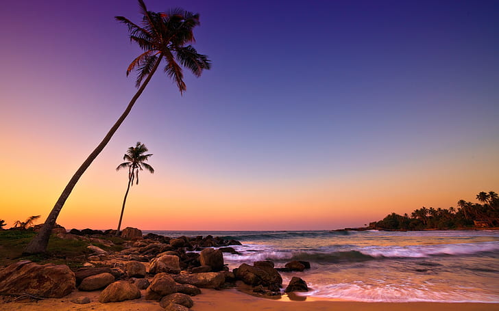 Sri Lanka sunset, sea, coast, beach, rocks, palm trees, silhouette of palm trees