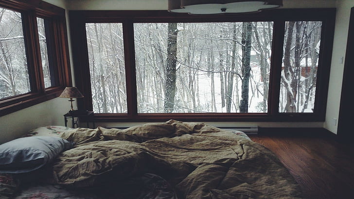 trees, bed, forest, pillow, room, winter, window