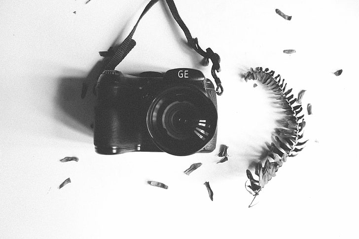 black GE DSLR camera, branch, leaf, herbarium, bw, camera - Photographic Equipment