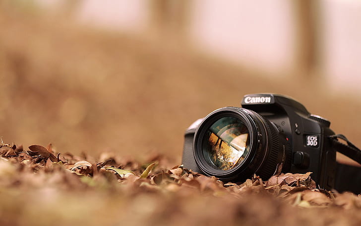 Canon EOS 30D, camera, photo, professional